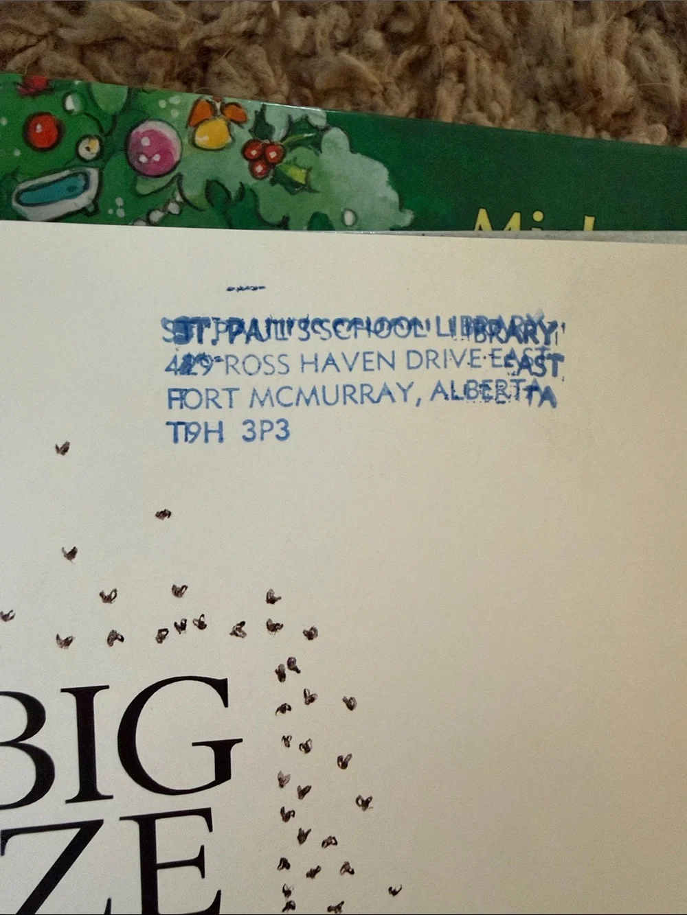 Lot of 5 Children's Books - Picture 5 of 8
